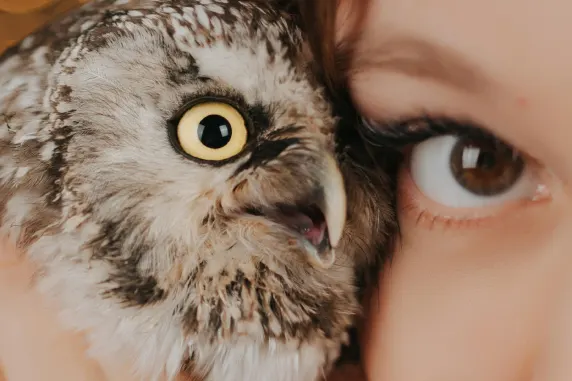 BoaBoa Casino Ondersteuning